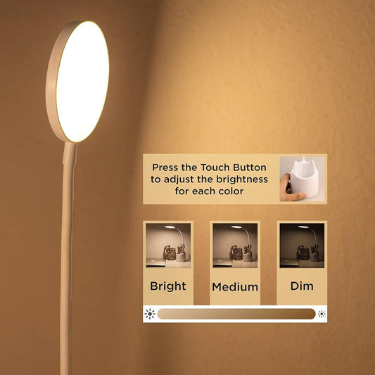 Study Lamp With Pen Holder